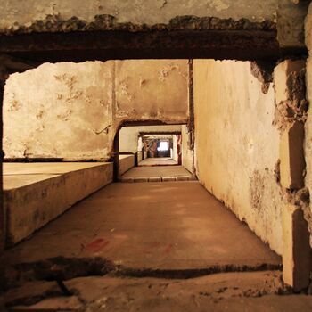 Kyjeváky in der Siedlung Ploužnice 2023