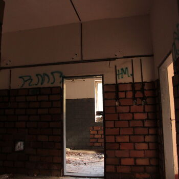 VEGA Group VEGA Group