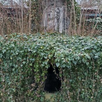 Friedhof 2022 Friedhof 2022