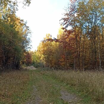 Former Infantry Ammunition Depot 2022 Former Infantry Ammunition Depot 2022