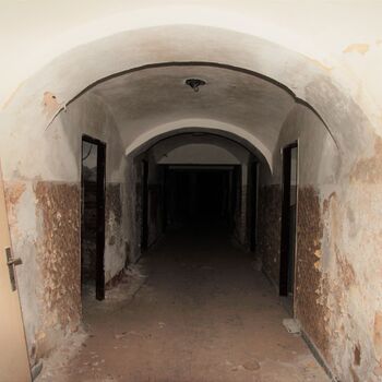 Die Dämmerung von Eleanor