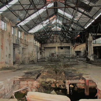 Die Dämmerung von Eleanor