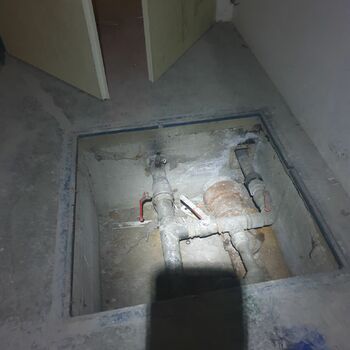 mousetrap trap device