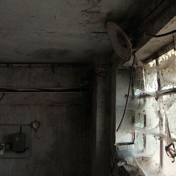 Schweinehüter Schweinehüter