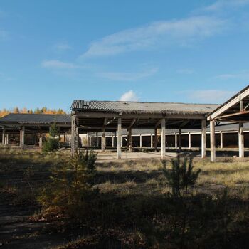 VEGA Group VEGA Group