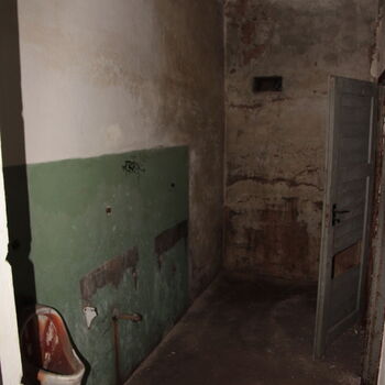 CO cover in the sugar factory