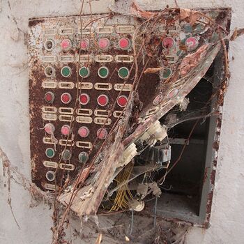 Schweinehüter Schweinehüter