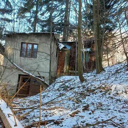 Haus im Wald