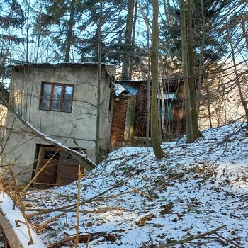 Haus im Wald Haus im Wald
