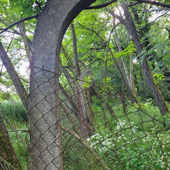 🧨Dynamitka Alfred Nobel & Company