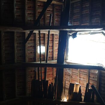 Homestead with a pond