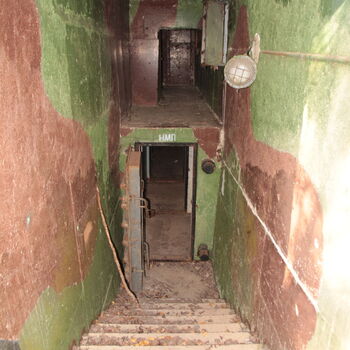 VEGA Group VEGA Group