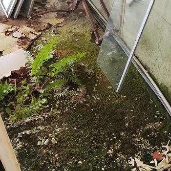 Business in Slovenia Business in Slovenia