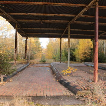 VEGA Group VEGA Group