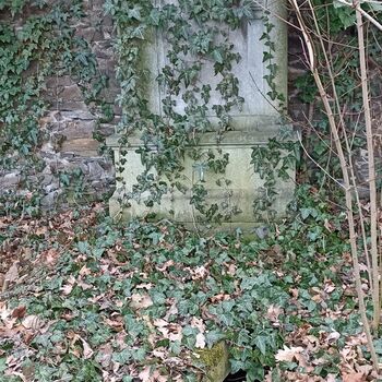 Friedhof 2022 Friedhof 2022