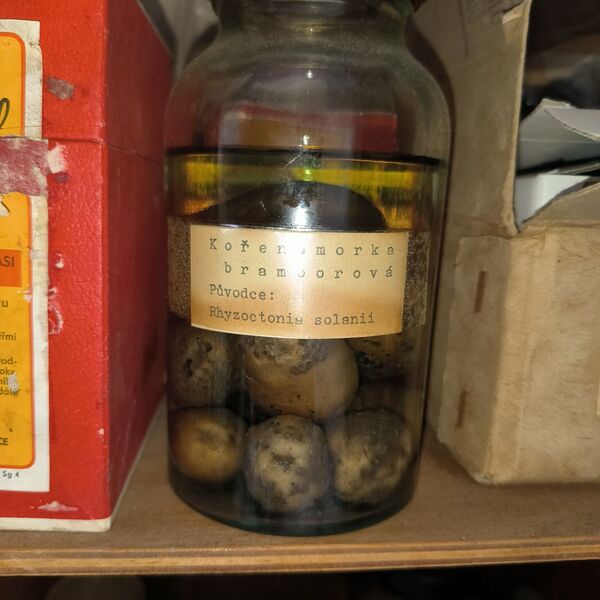 Šlechtitelská stanice