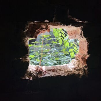 Barracks Hungary 2024