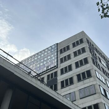 Komplex Nová 🌴 Komplex Nová 🌴