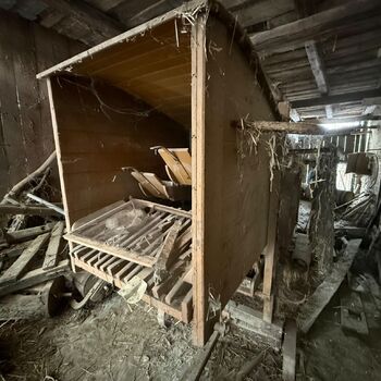 DDT, or the crocodile wasn't home