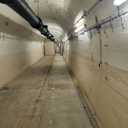 Die Lichtung bei der großen Eiche.