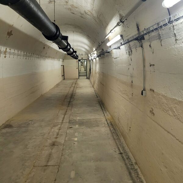 The glade by the big oak tree.