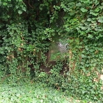 Hrudkov plicní sanatorium