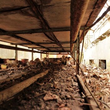 Gartenarbeit ab 1940