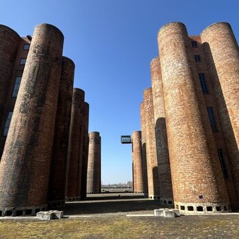 Lauchhammer biowheat - An unexpected ecological experiment 🌱🏭 Lauchhammer biowheat - An unexpected ecological experiment 🌱🏭