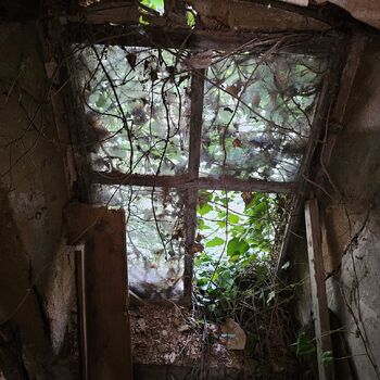 Das Haus beim Plüschtier.