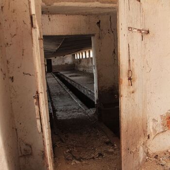 JZD, co se dle sídla jmenovat nesmělo