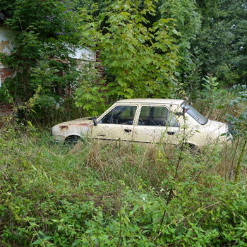 Už asi nevyjedou...