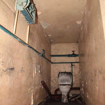 Maple 52 with swimming pool