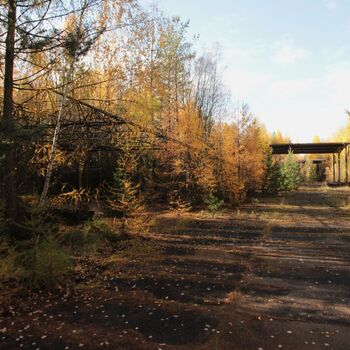 VEGA Group VEGA Group