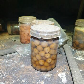 Honey šetřit slazení