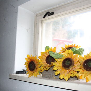 Kdo tady dřív sportoval? Opuštěné sportovní centrum