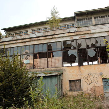 Barrandovské ohlédnutí