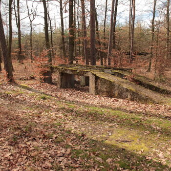 Warsaw Pact Junction Warsaw Pact Junction