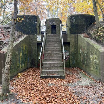 Cannons and bunkers Poland 2025