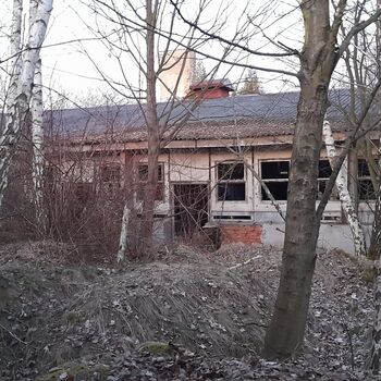 Calf (2025) Calf (2025)