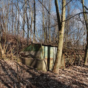 Gartenarbeit ab 1940