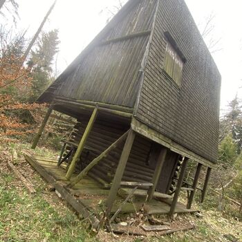 Cabin in the woods Cabin in the woods