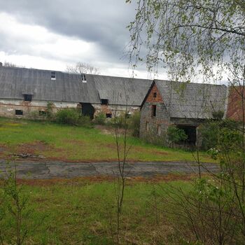 stodola budova zemědělské budovy struktura