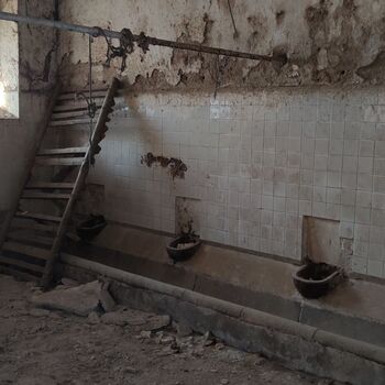 Abandoned farm building_2025