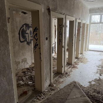 Aunt Omega, or I Believe in Fairies