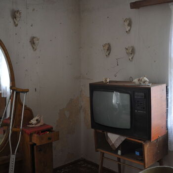 A grove in the Sudetenland.