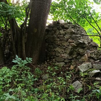 das Schloss, das jeder kennt...