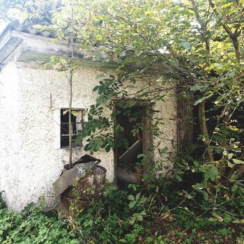 Verlassenes Haus an der Spitze 2020 Verlassenes Haus an der Spitze 2020