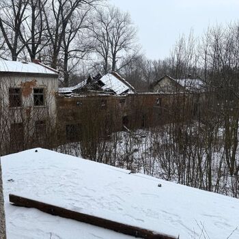 Aunt Omega, or I Believe in Fairies