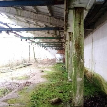 skleníkové budova struktura