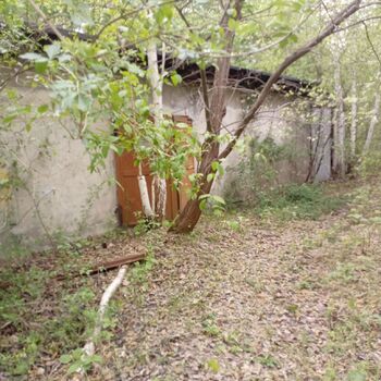 Railway depot in the middle of the "forest" 2024